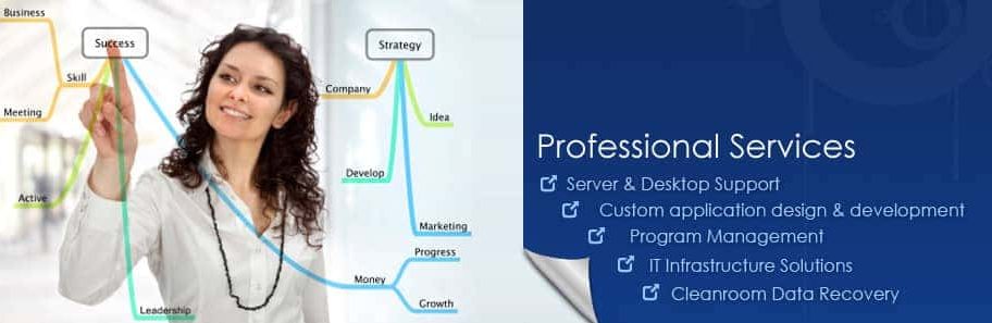 ProfessionalServices Professional Staffing Services